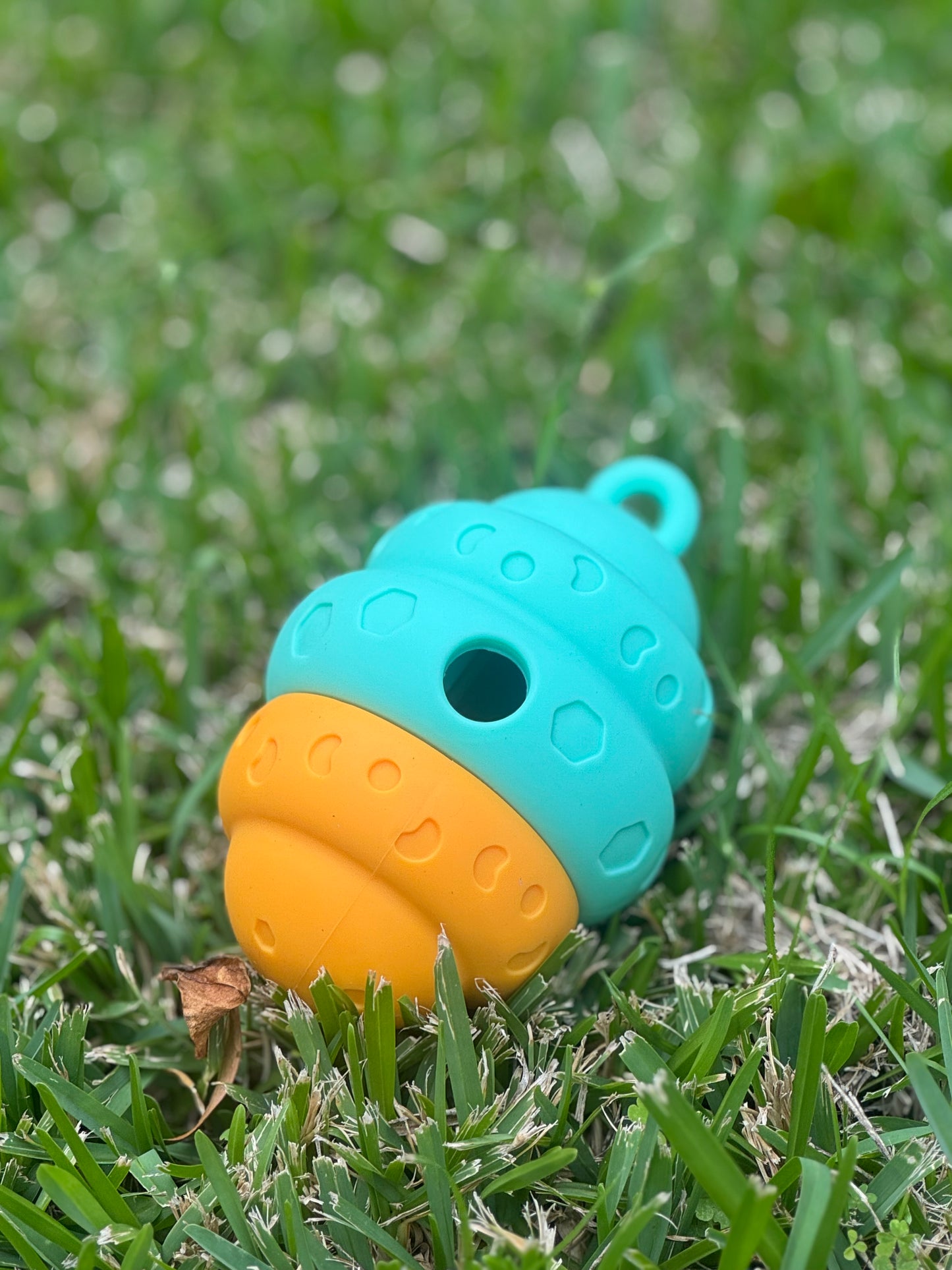 The Happy Oodle Roll n Reward